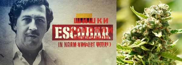 марки nbome Абаза