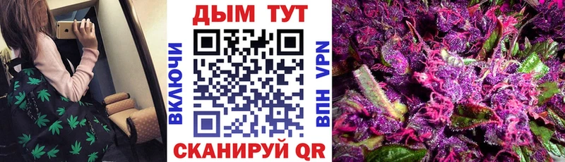 Бошки Шишки гибрид Судогда